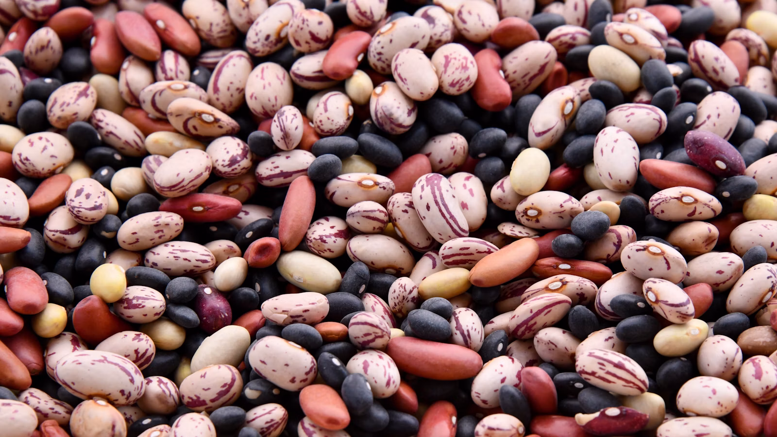 Variedades de frijoles en una superficie