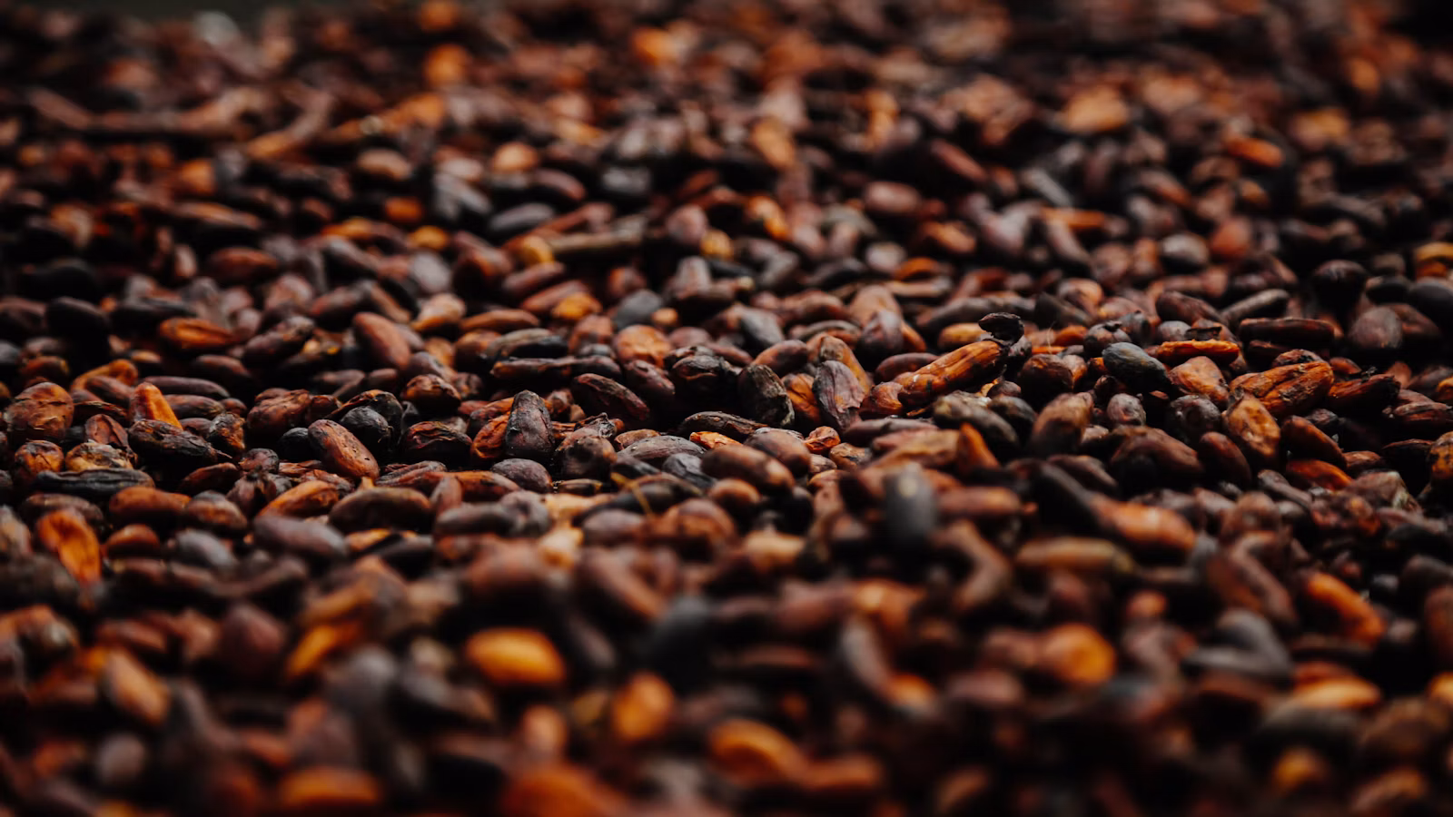 Granos de cacao para preparar tascalate