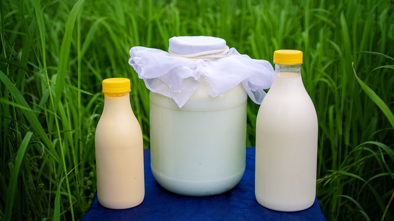 Frasco cubierto con tela y dos botellas de leche