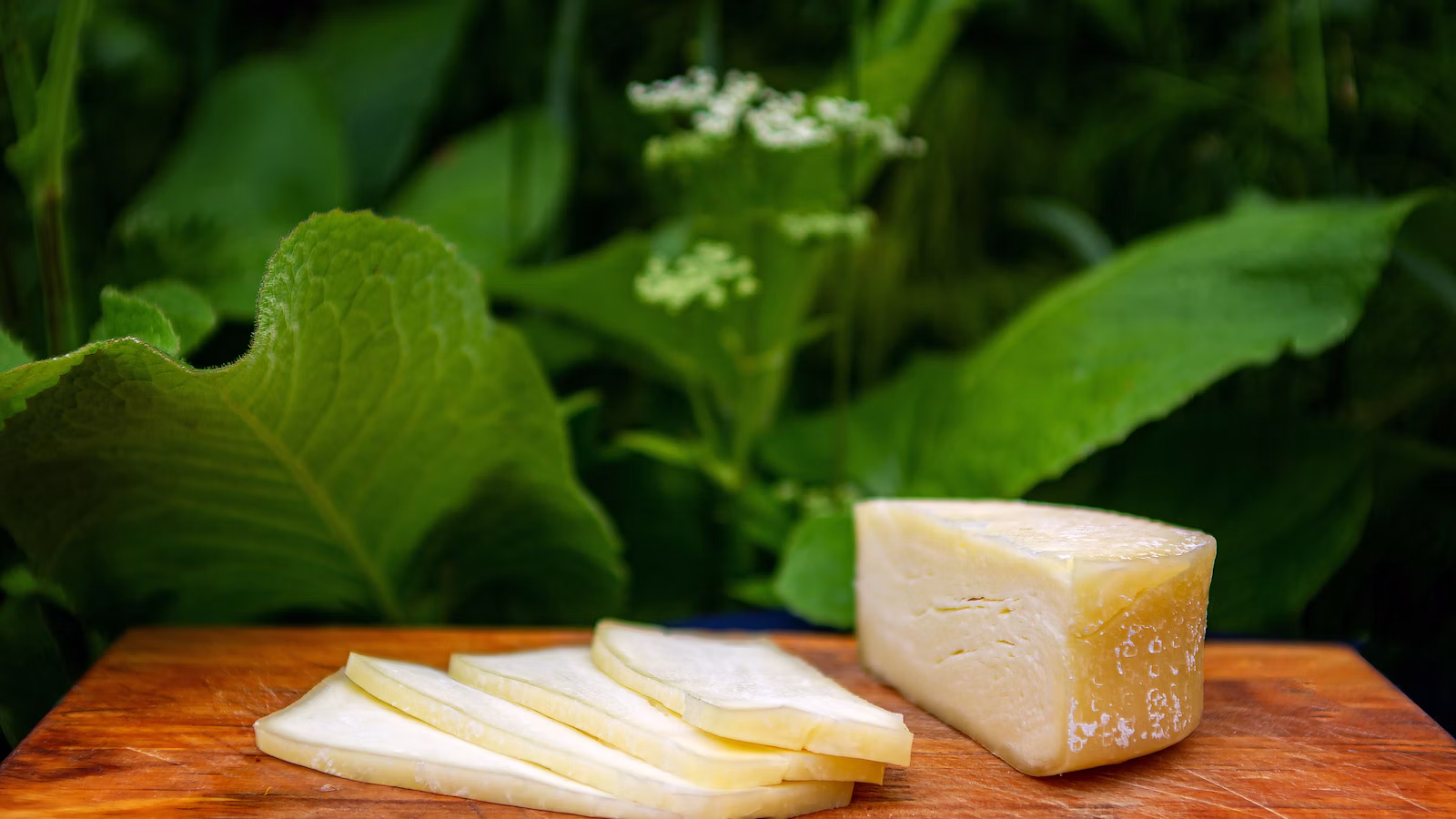 Queso panela casero en una mesa de madera